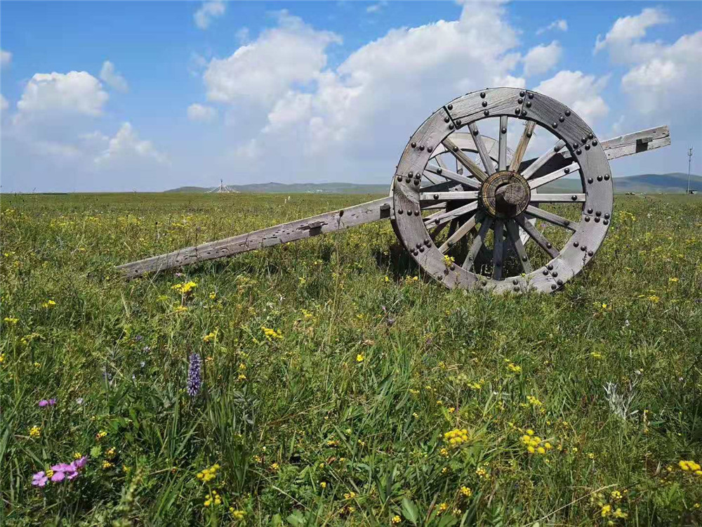 2019纳新草原行 —— 黄花沟草原旅游区