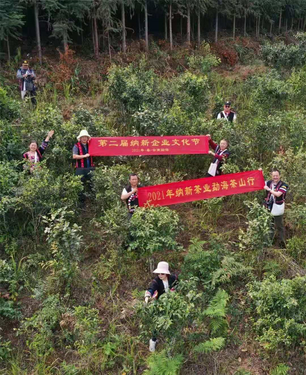 2021纳新勐海茶山行 -- 纳新基地