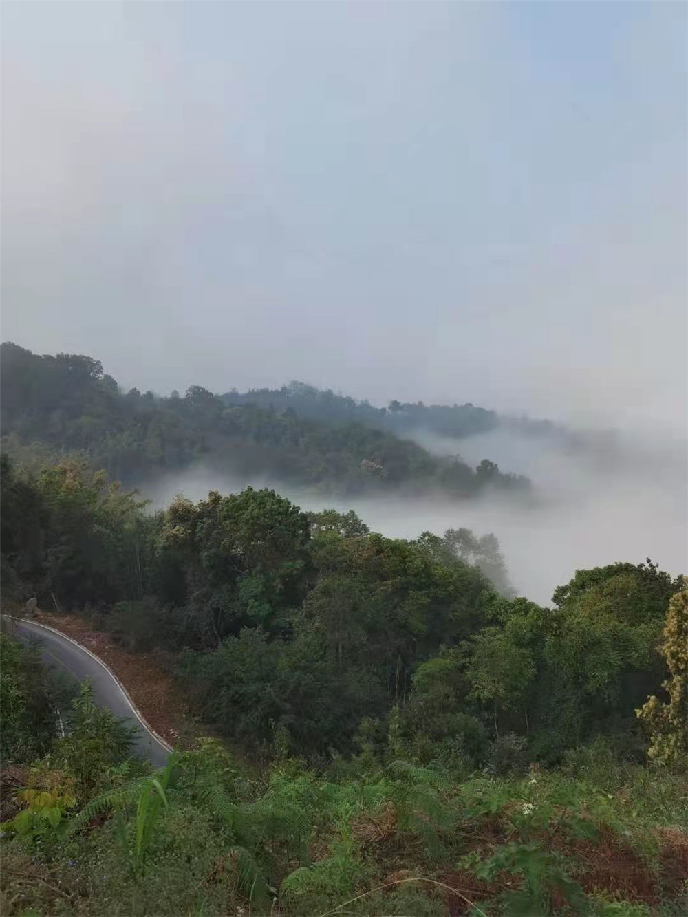 2021纳新勐海茶山行 -- 格朗和风光