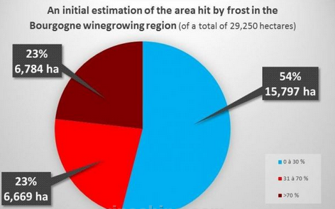 统计结果：勃艮第40%的葡萄园遭受了霜冻影响