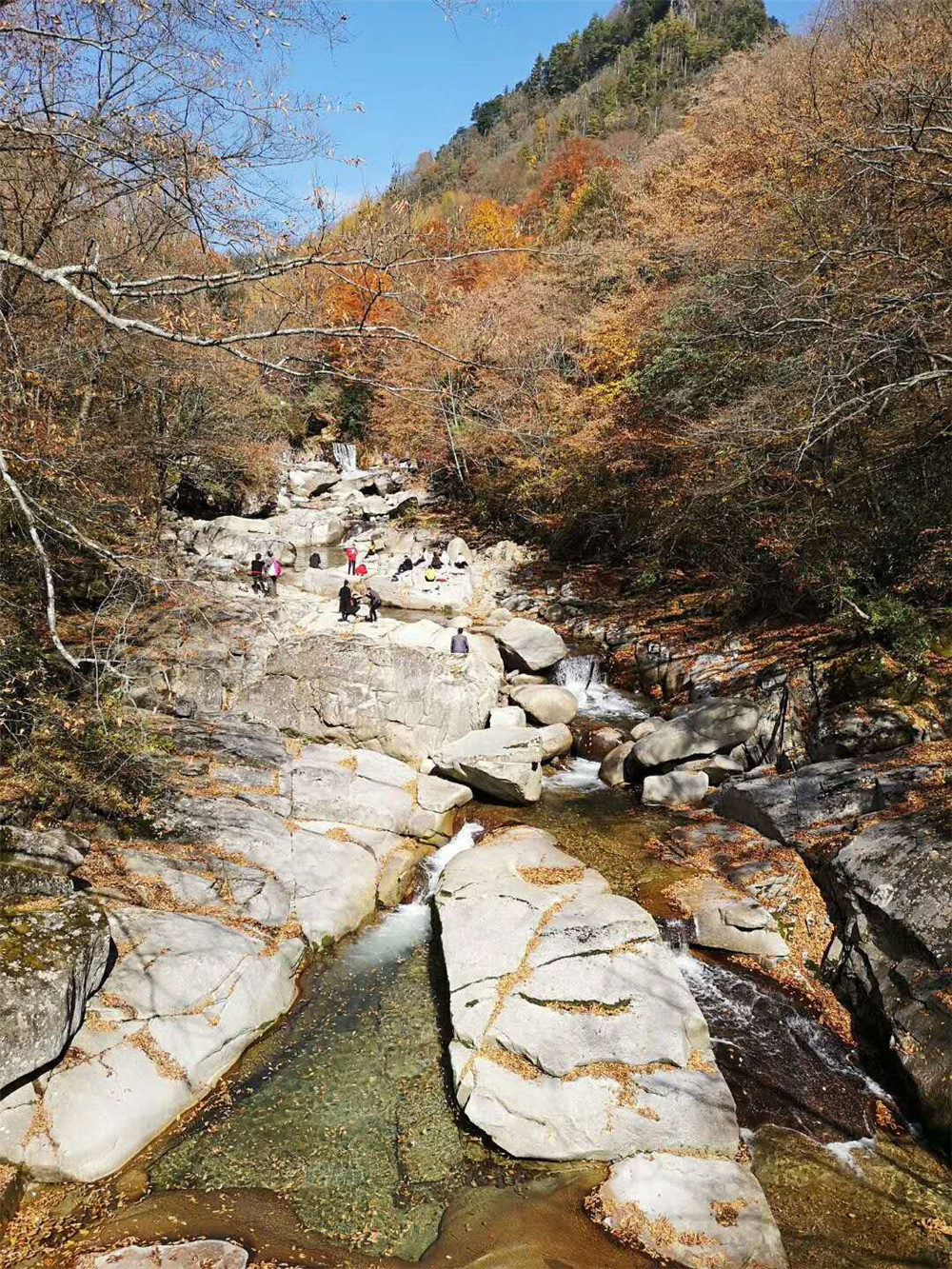 2018纳新赏秋记 —— 米仓山 光雾山 黑熊沟